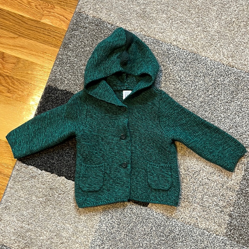 Dinosaur hooded sweater